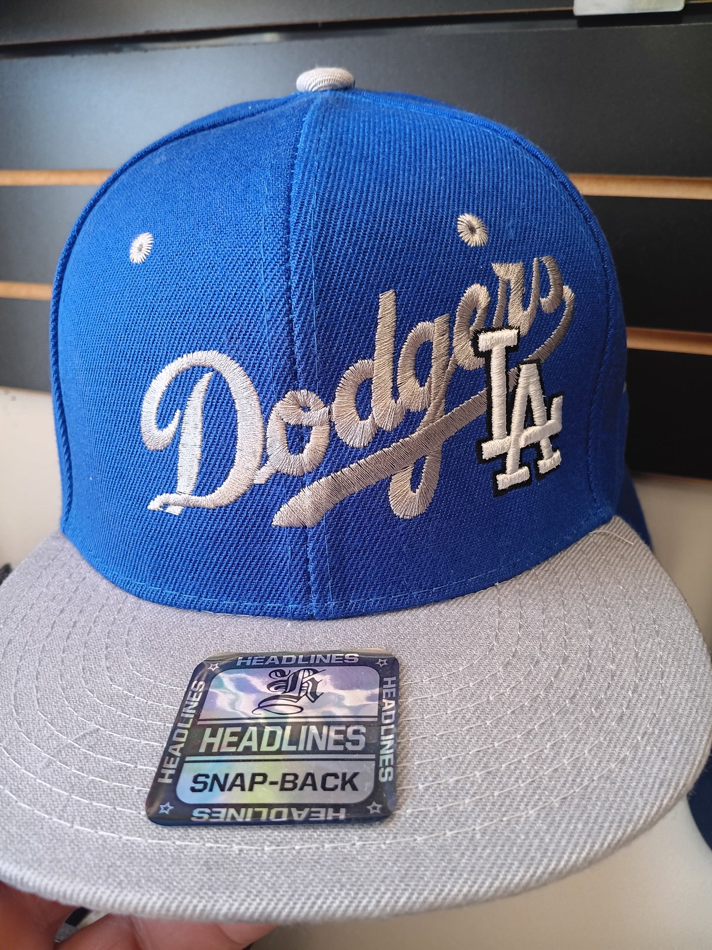 Team logo SnapBacks.